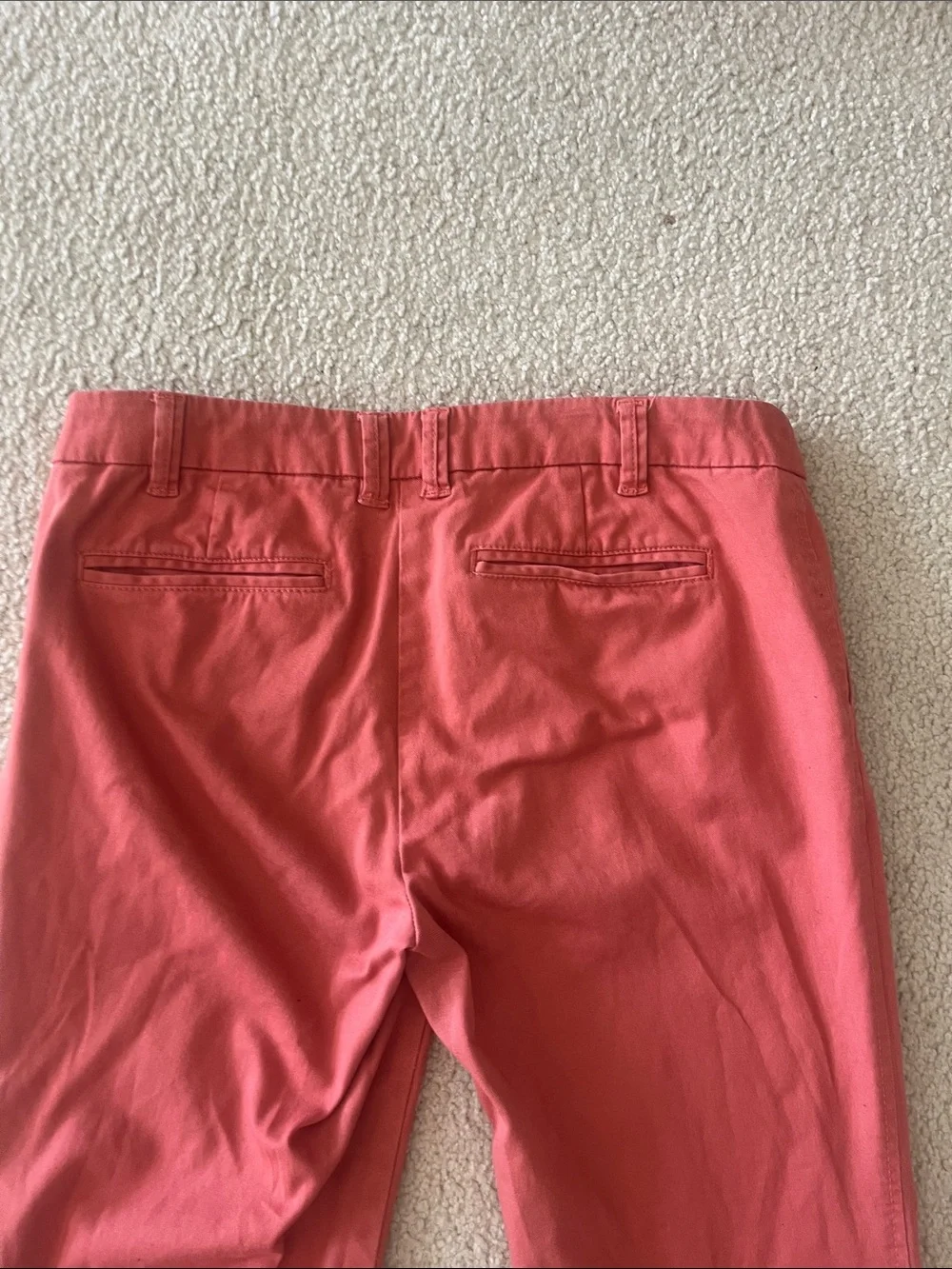 Dalia Collection these salmon